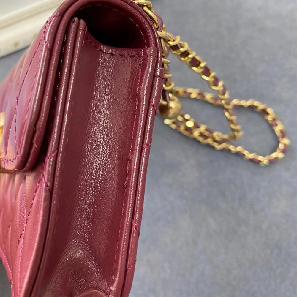 Mini Clutch with Chain