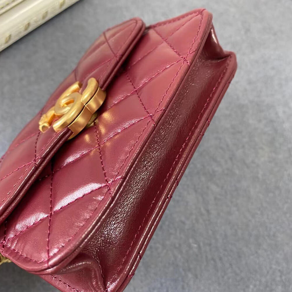 Mini Clutch with Chain