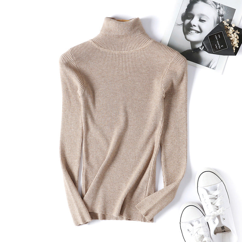 Slim Solid Turtleneck Pullover