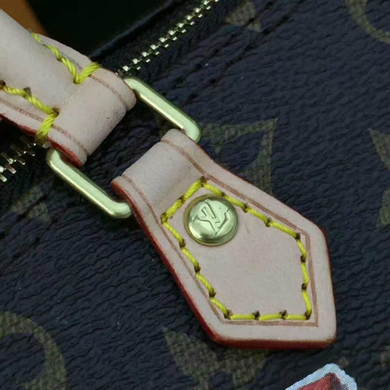 M62208 Nano Speedy Crossbody Bag Monogram Canvas