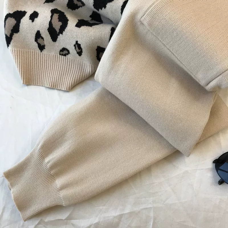 Leopard Pullover & Skinny Pants Set
