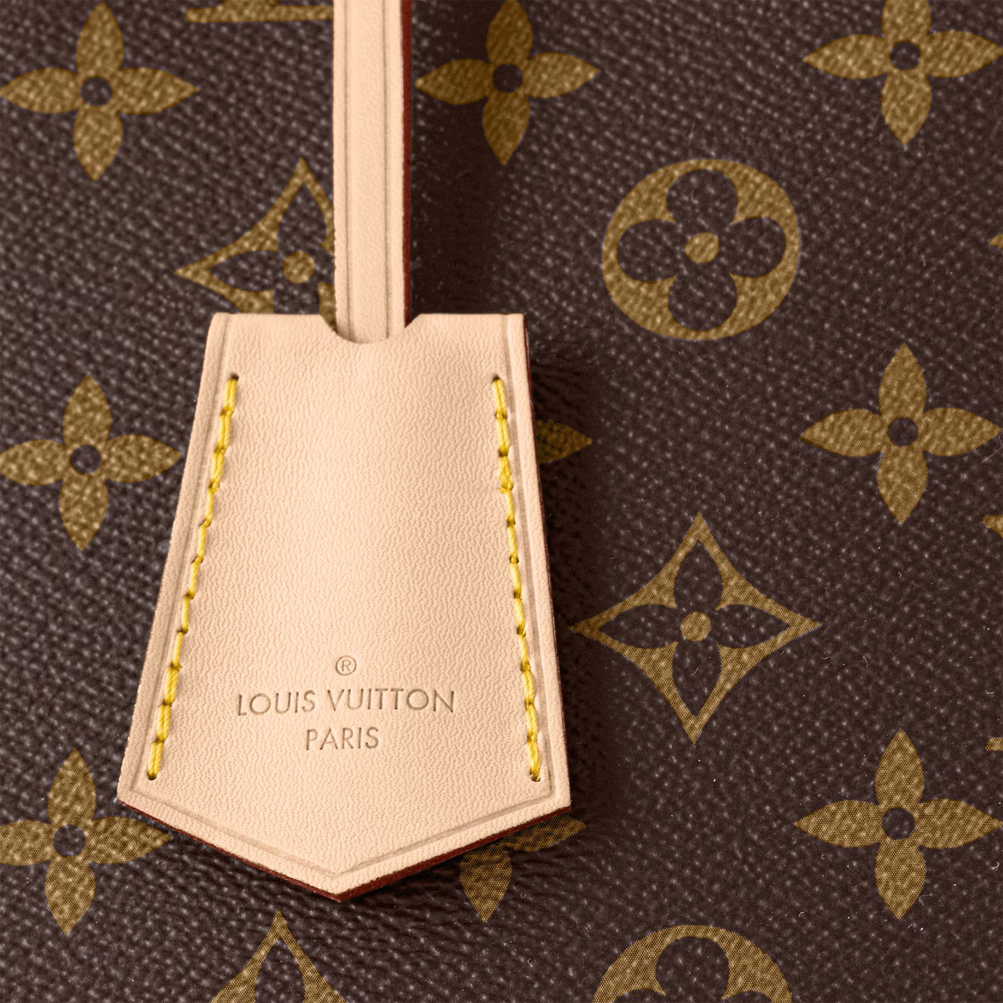 Monogram coated canvas M53151 Alma PM