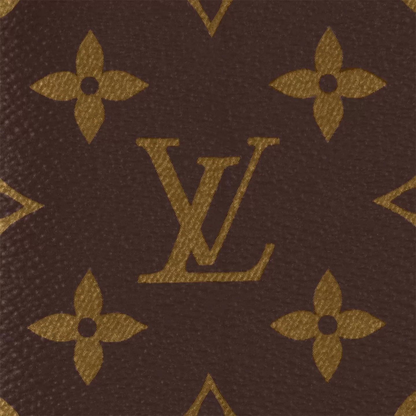 Brazza Wallet M66540