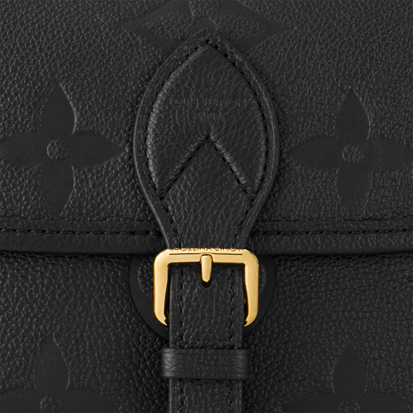 M46386 Diane Black