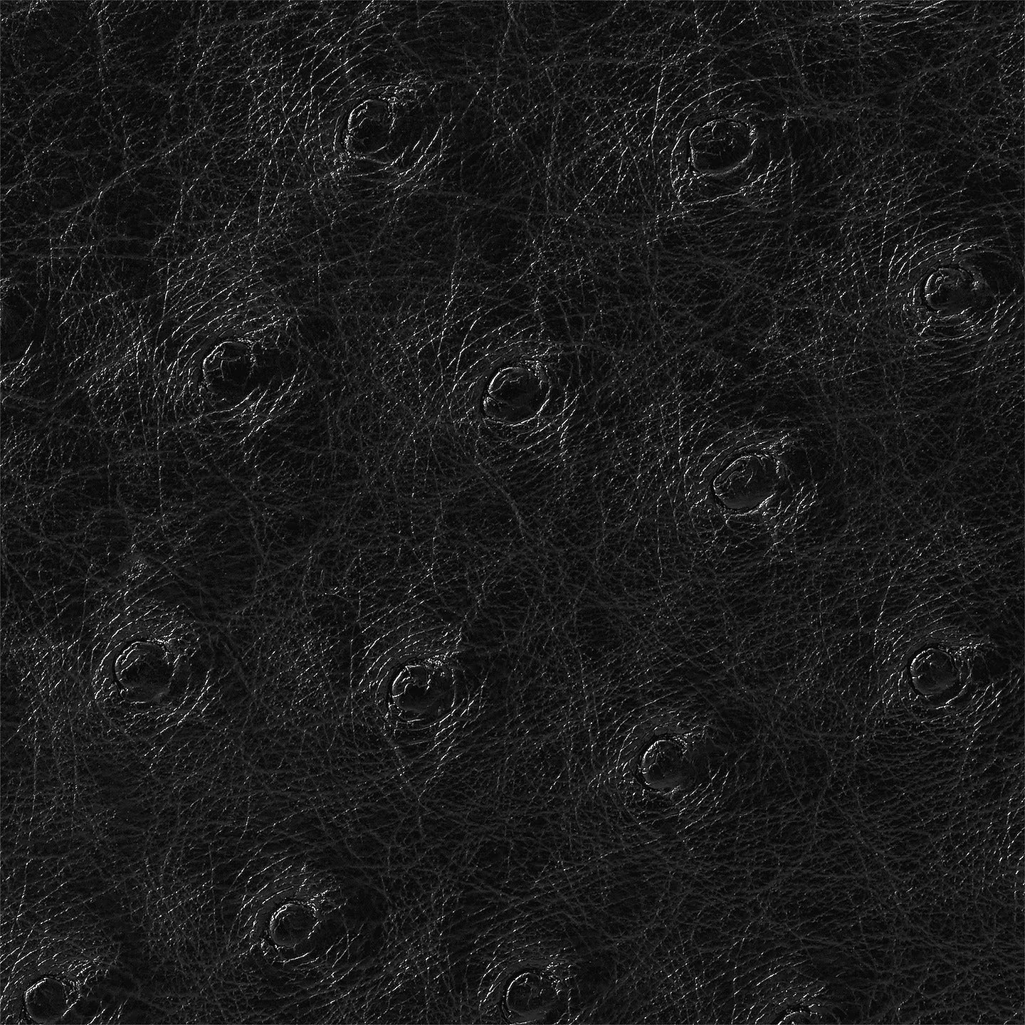 Black N94705 Multiple wallet