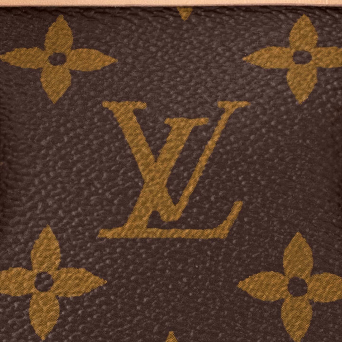 M46786 Neverfull BB