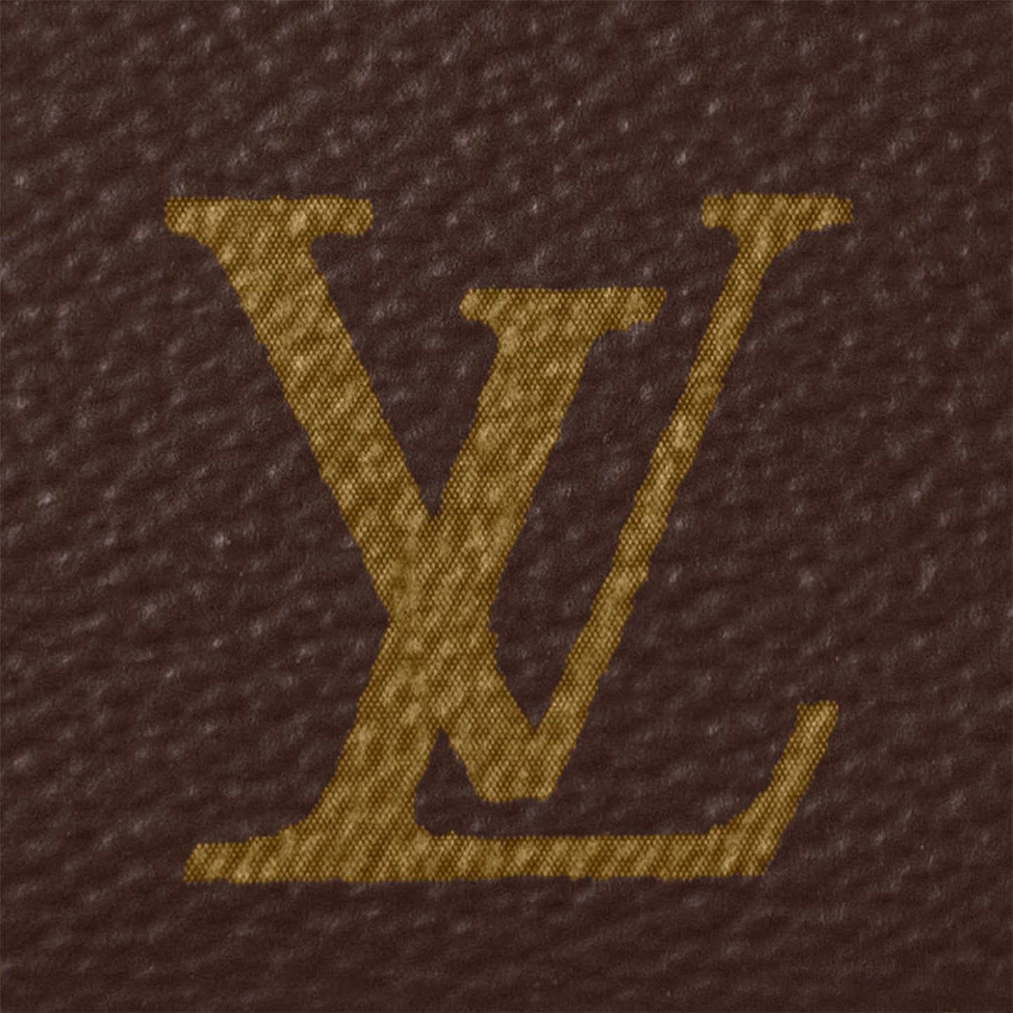 M82766 Pochette Accessoires Monogram