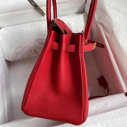 BIRKIN BAG 25