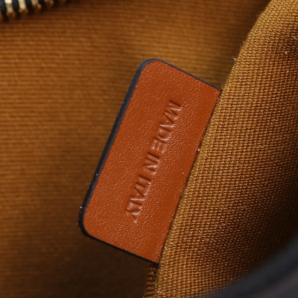 MEDIUM AVA TRIOMPHE BAG in Triomphe Canvas and calfskin