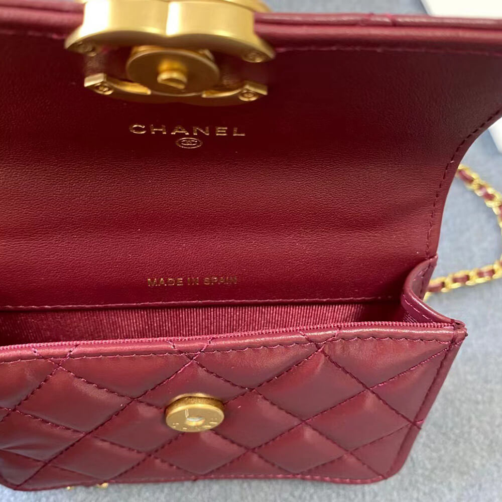 Mini Clutch with Chain