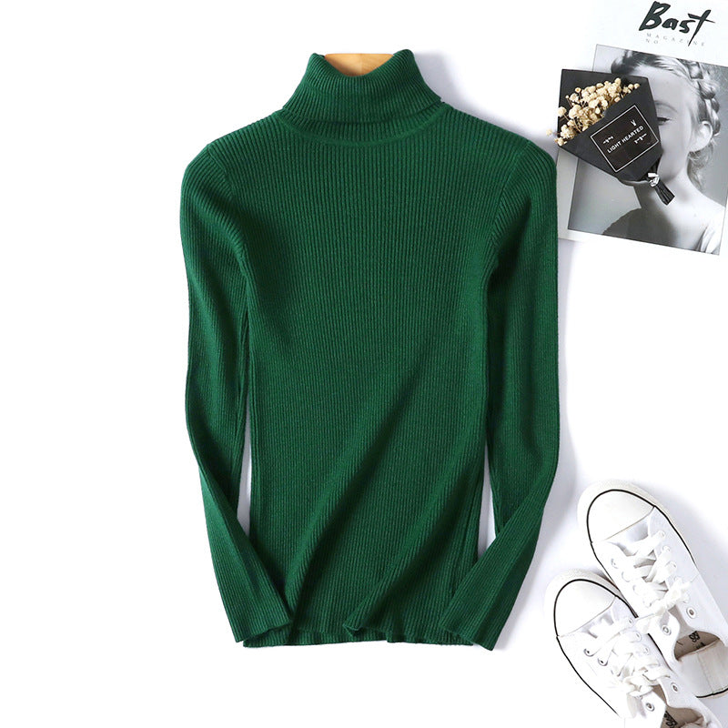 Slim Solid Turtleneck Pullover