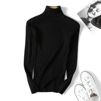Slim Solid Turtleneck Pullover