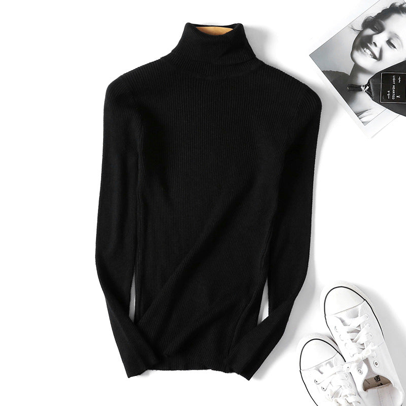 Slim Solid Turtleneck Pullover