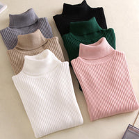 Slim Solid Turtleneck Pullover
