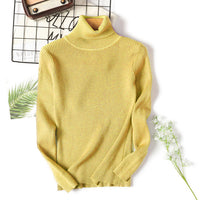 Slim Solid Turtleneck Pullover