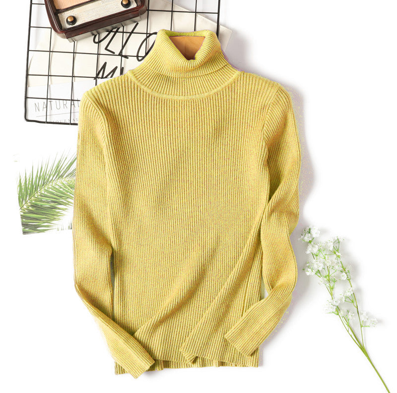 Slim Solid Turtleneck Pullover