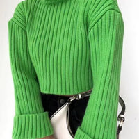 Cropped High Neck Cotton Sweater (Punk)