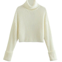 Cropped High Neck Cotton Sweater (Punk)