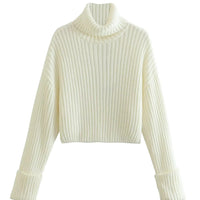 Cropped High Neck Cotton Sweater (Punk)