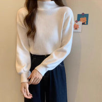 Slim Semi-Turtleneck Casual Pullover