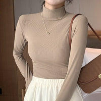 Semi-Turtleneck Bottoming Knit Top