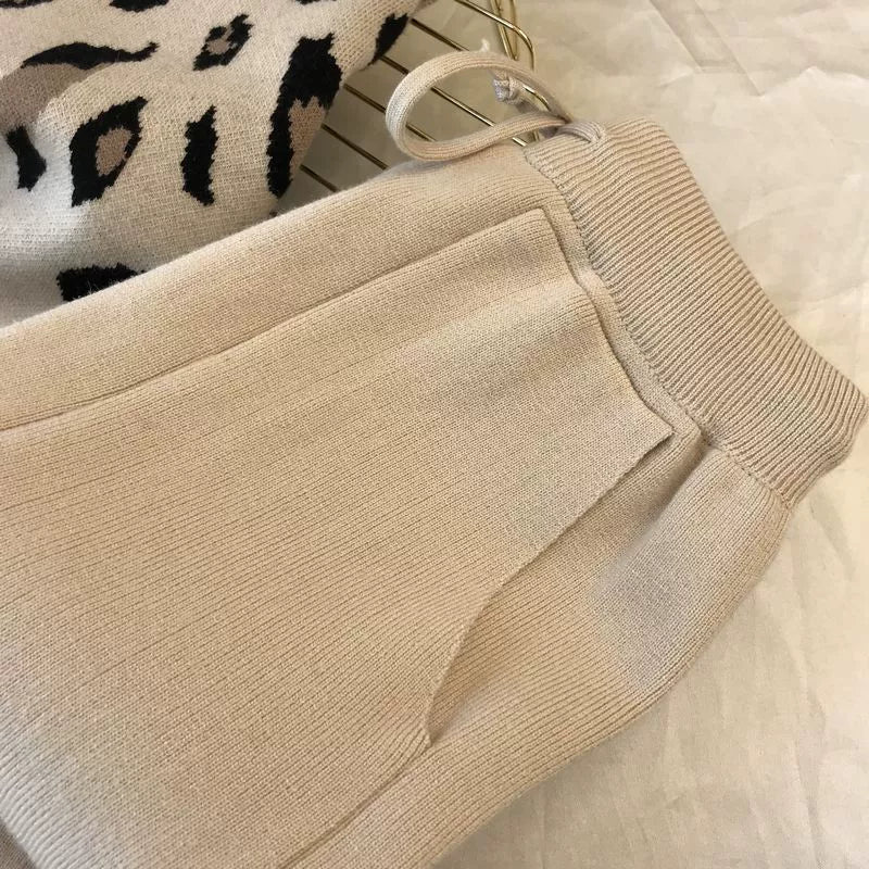 Leopard Pullover & Skinny Pants Set