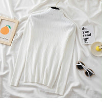 Slim Semi-Turtleneck Jacquard Pullover