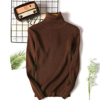 Slim Solid Turtleneck Pullover