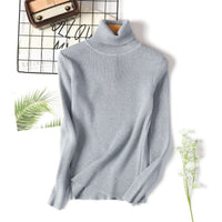 Slim Solid Turtleneck Pullover