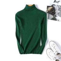 Slim Solid Turtleneck Pullover