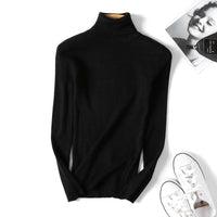 Slim Solid Turtleneck Pullover
