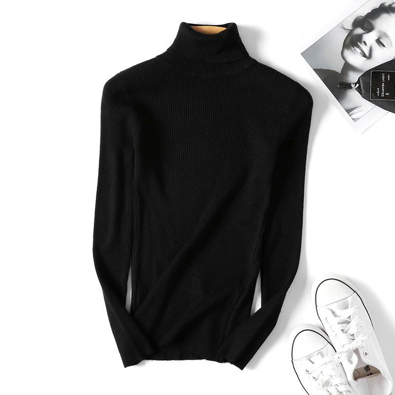 Slim Solid Turtleneck Pullover