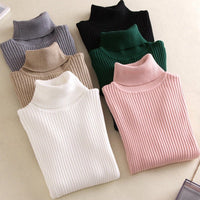 Slim Solid Turtleneck Pullover