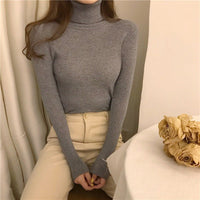 Women’s  High Collar Sweater