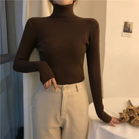 Women’s  High Collar Sweater