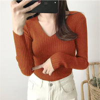 Slim Fit V-Neck Winter Top