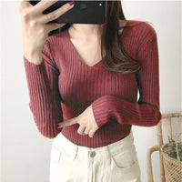 Slim Fit V-Neck Winter Top