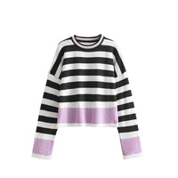 Striped Crew Neck Knit Pullover