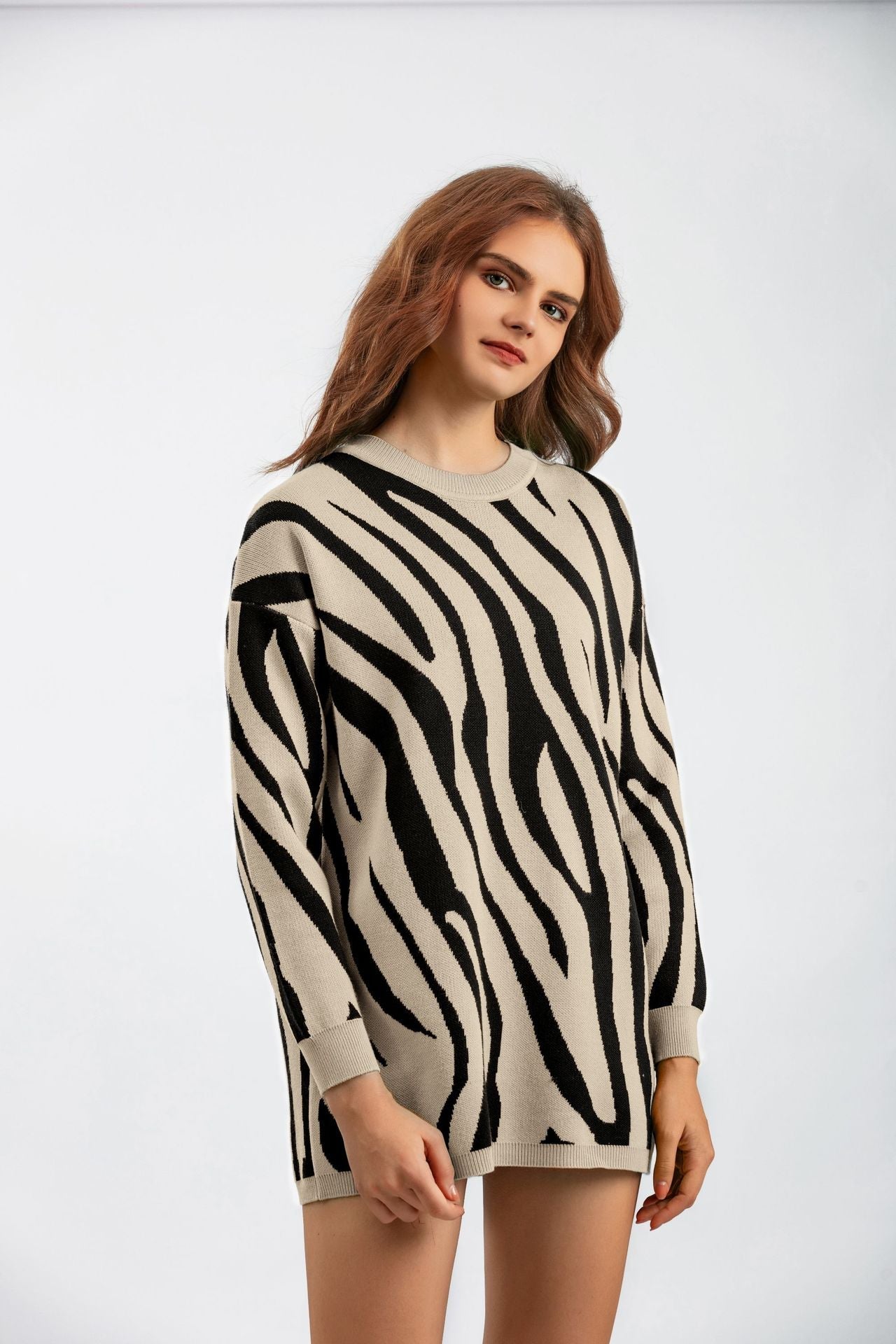 Zebra Pattern Knit Pullover