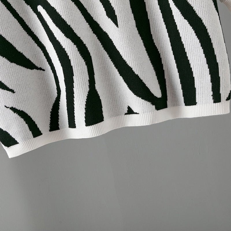 Zebra Pattern Knit Pullover